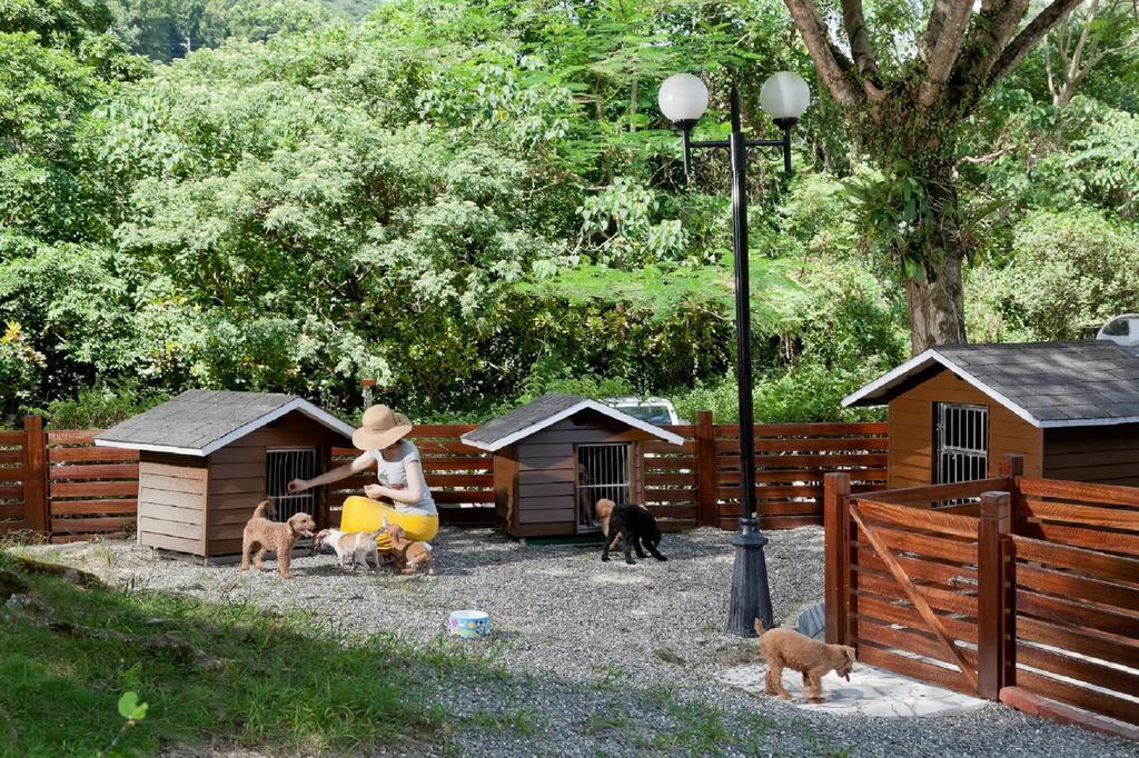 ホテル ロイヤル チーペン Wenquan エクステリア 写真 A dog hotel in the United States